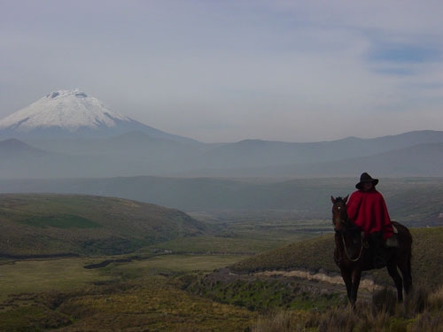Sentier panoramique des volcans