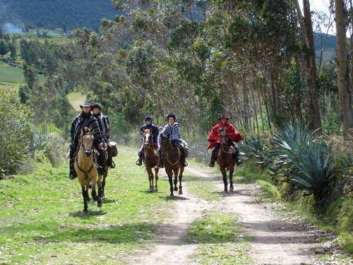 Randonnée d'aventure au Cotopaxi