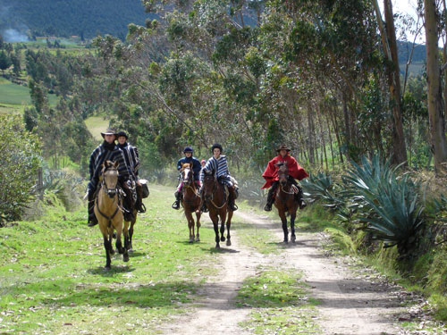 Randonnée d'aventure au Cotopaxi