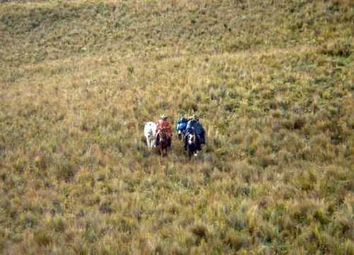 La route des volcans