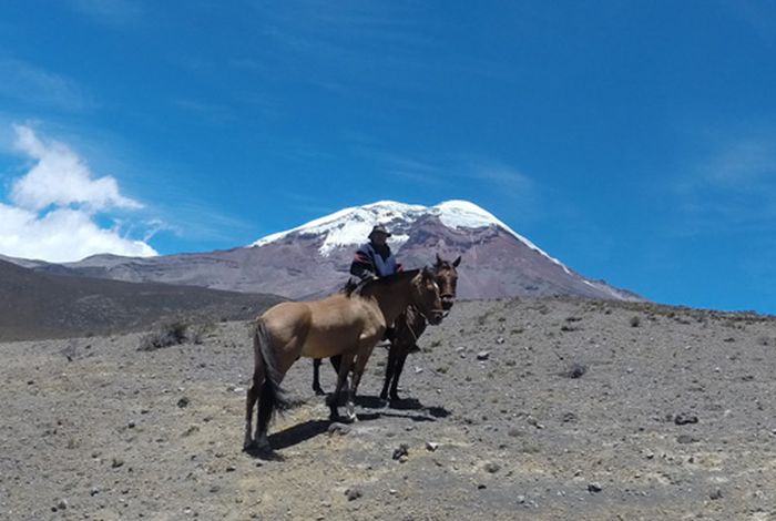 Les Andes Sauvages