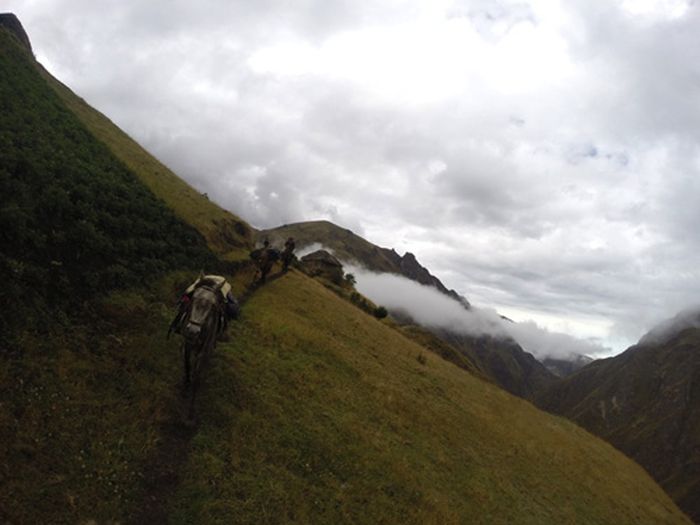 Les Andes Sauvages
