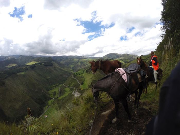 Les Andes Sauvages