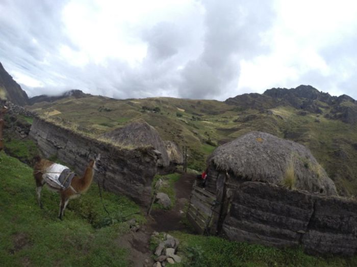 Les Andes Sauvages