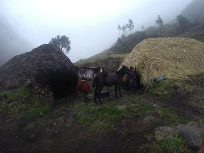 Les Andes Sauvages