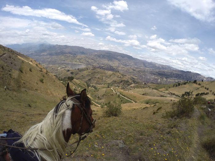 Les Andes Sauvages