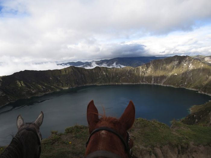 Les Andes Sauvages
