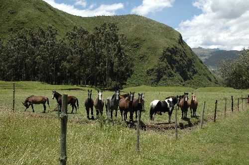 Lodge de montagne andine avec confort