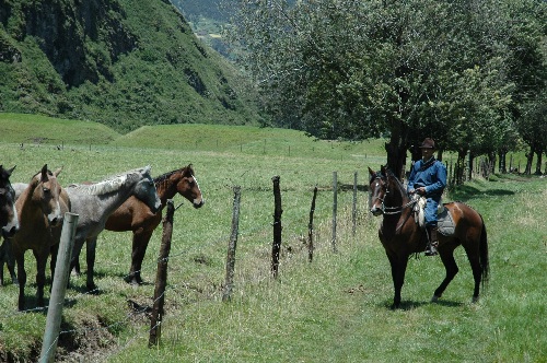 Lodge de montagne andine avec confort