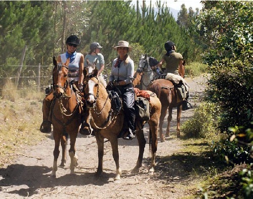 Lodge de montagne andine avec confort