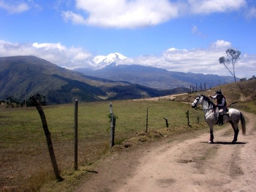 Lodge de montagne andine avec confort