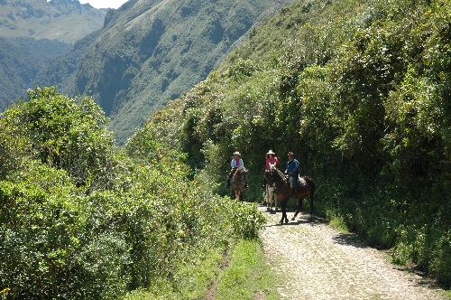Lodge de montagne andine avec confort