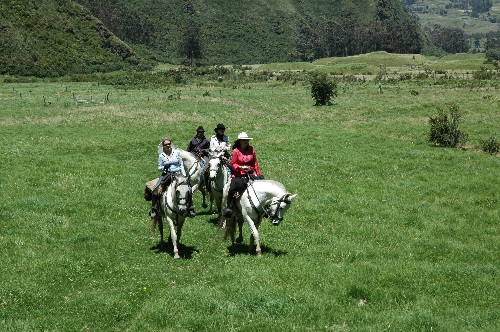 Lodge de montagne andine avec confort