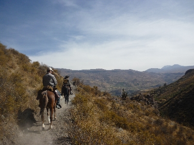 Randonnée dans la vallée de Colca