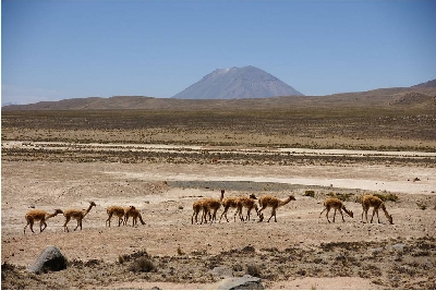 Randonnée dans la vallée de Colca