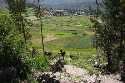 Randonnée dans la vallée de Colca