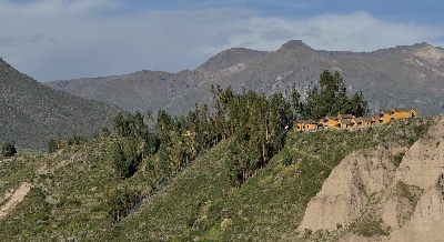 Randonnée dans la vallée de Colca
