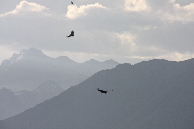Randonnée dans la vallée de Colca