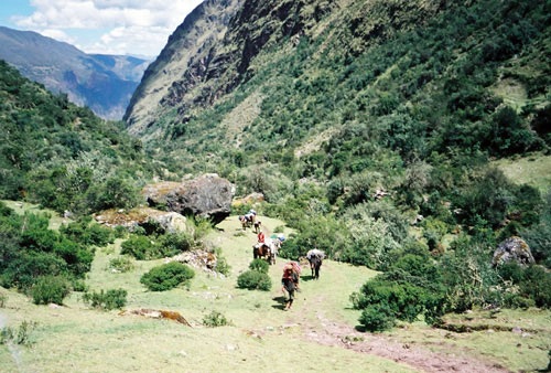 Le Trail Inca classique