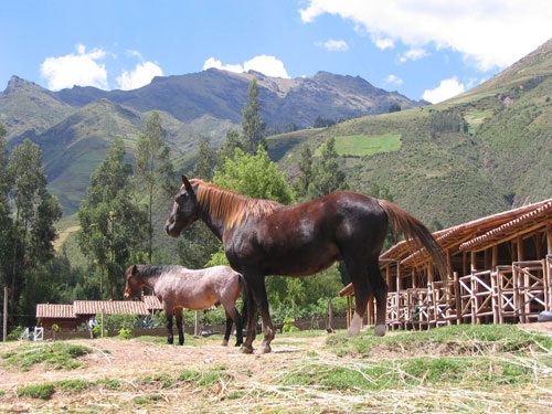 Le Trail Inca classique