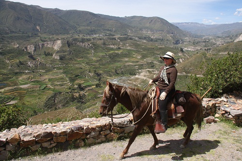 Canyon de Colca et lac Titicaca