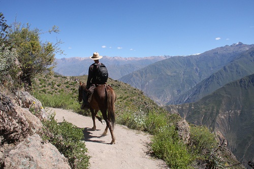 Canyon de Colca et lac Titicaca