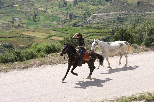 Canyon de Colca et lac Titicaca
