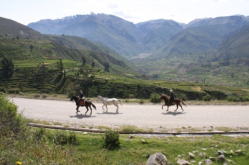 Canyon de Colca et lac Titicaca