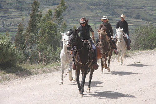 Canyon de Colca et lac Titicaca