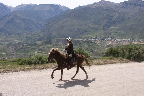 Canyon de Colca et lac Titicaca