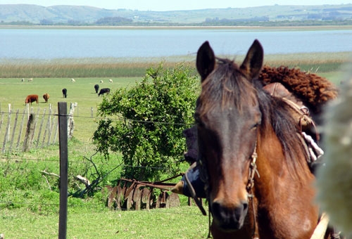 Les Estancias de la Laguna Negra