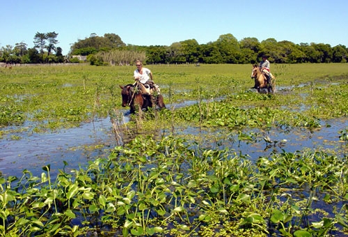 Les Estancias de la Laguna Negra