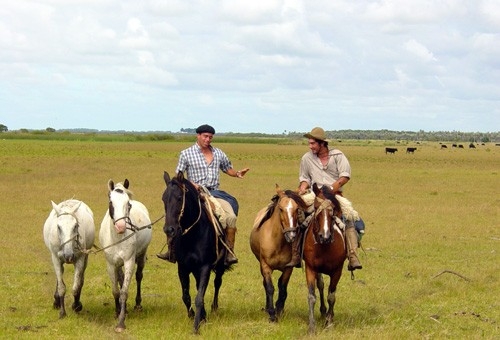 Les Estancias de la Laguna Negra
