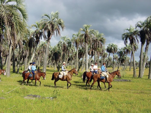 Les Estancias de la Laguna Negra