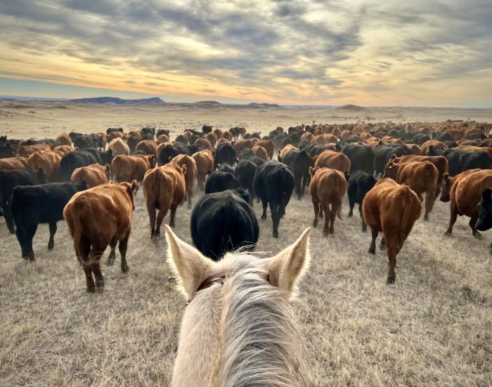 Two Creek Ranch