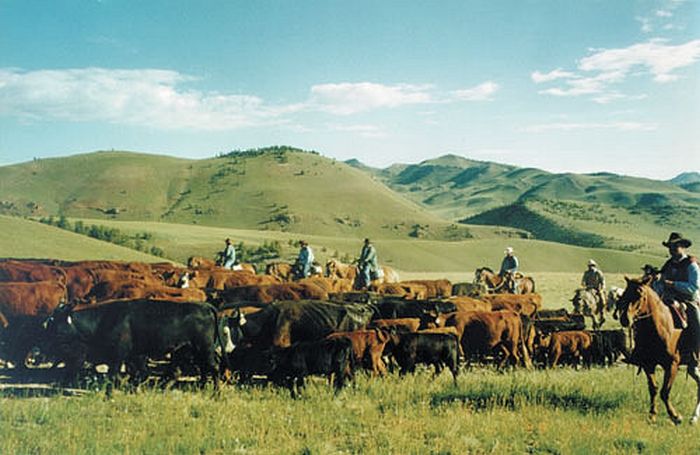 Two Creek Ranch