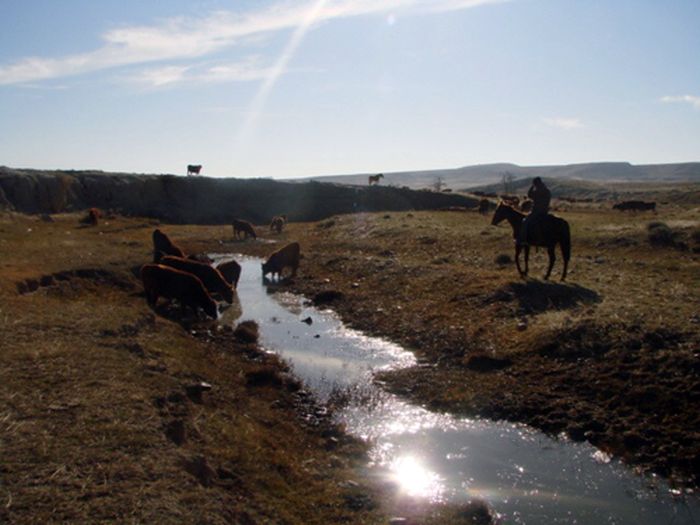 Two Creek Ranch