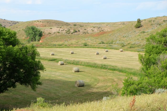 Two Creek Ranch
