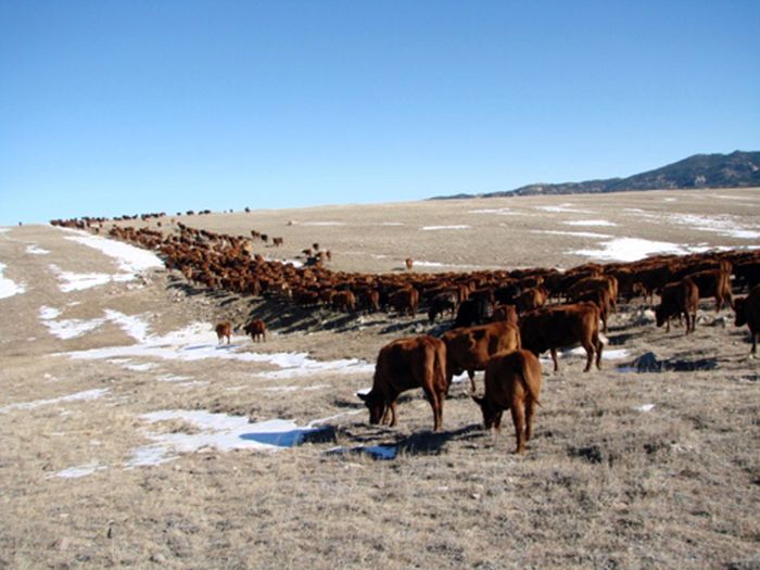 Two Creek Ranch