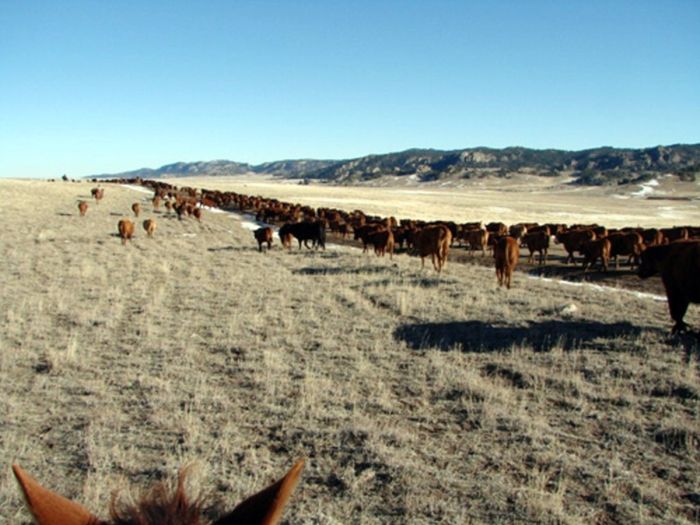 Two Creek Ranch