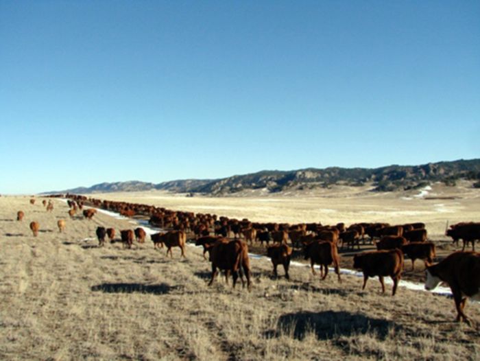 Two Creek Ranch