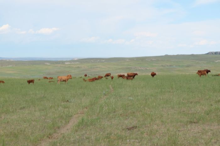 Two Creek Ranch