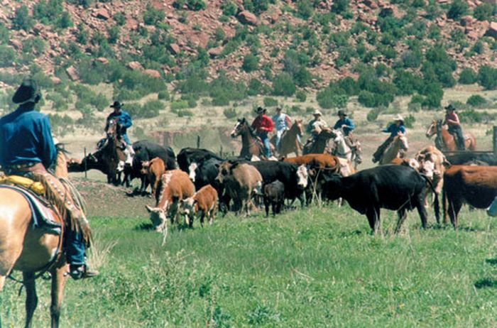 Two Creek Ranch