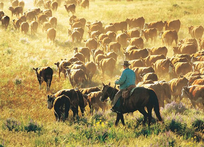 Two Creek Ranch