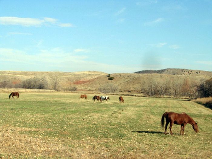 Two Creek Ranch