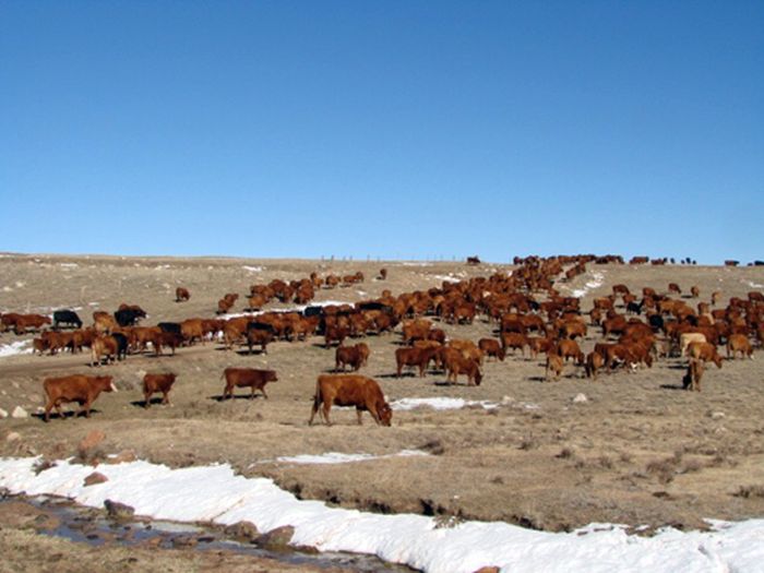 Two Creek Ranch