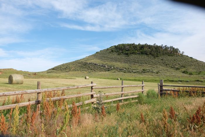 Two Creek Ranch