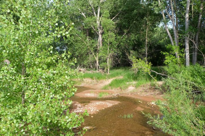Two Creek Ranch