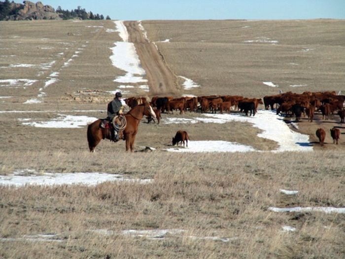 Two Creek Ranch