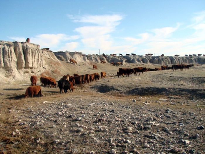 Two Creek Ranch
